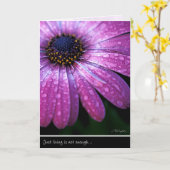 アナの人間による紫色のアフリカデイジー、 カード (黄色い花)