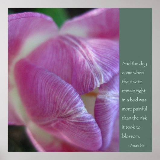 アナイスニン引用文ポスター ポスター (正面)