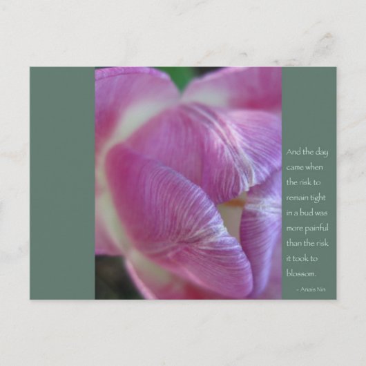 アナイスニン引用文 ポストカード (正面)