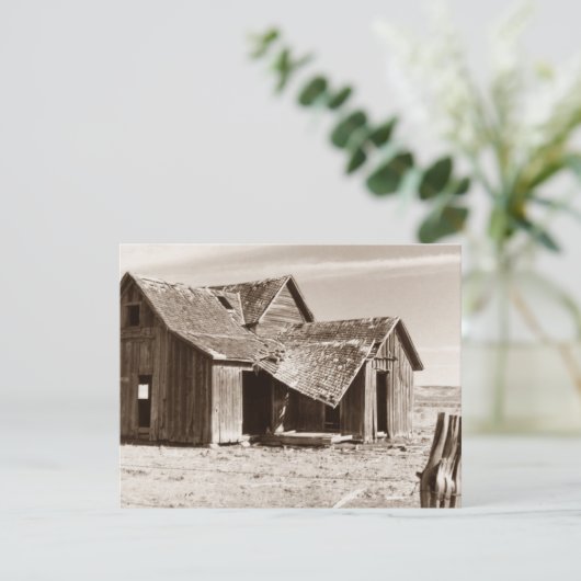 アナウンス空白の招待状オールドホームステッドセピア 招待状 (スタンド正面)