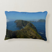 アナカパのインスピレーション・ポイントIチャンネル諸島 アクセントクッション (裏面)