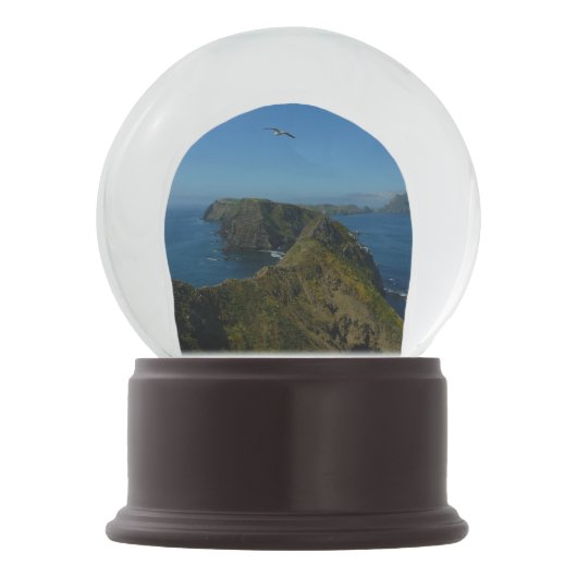 アナカパのインスピレーション・ポイントIチャンネル諸島 スノーグローブ (正面)