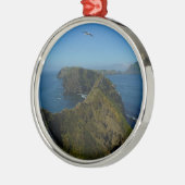 アナカパのインスピレーション・ポイントIチャンネル諸島 メタルオーナメント (左)