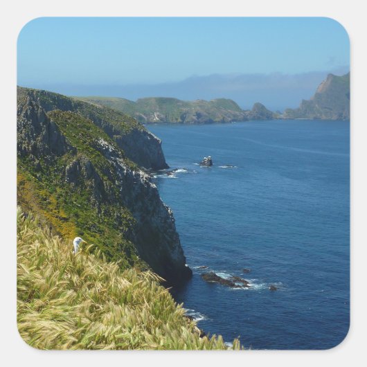 アナカパのインスピレーション・ポイントIIチャンネル諸島 スクエアシール (正面)