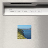 アナカパのインスピレーション・ポイントIIチャンネル諸島 マグネット (インサイチュ (食洗機))