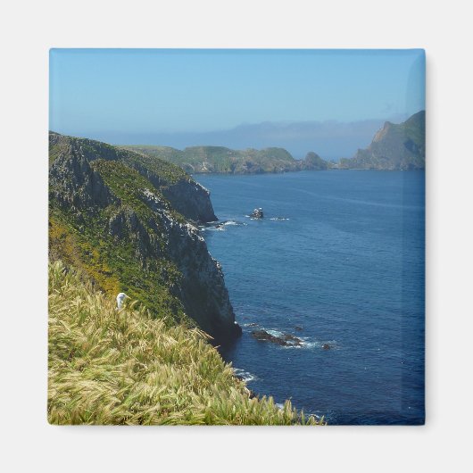 アナカパのインスピレーション・ポイントIIチャンネル諸島 マグネット (正面)