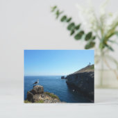 アナカパ島のカモメ島チャンネル諸島 ポストカード (スタンド正面)