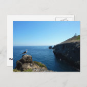 アナカパ島のカモメ島チャンネル諸島 ポストカード (正面/裏面)