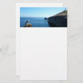 アナカパ島のカモメ島チャンネル諸島 便箋 (正面/裏面)