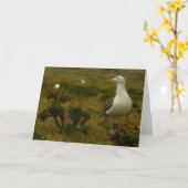 アナカパ島のカモメ カード (黄色い花)