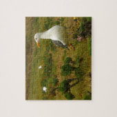 アナカパ島のカモメ ジグソーパズル (縦)