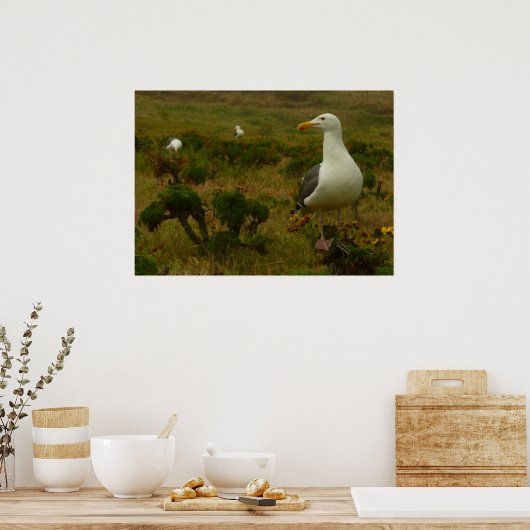 アナカパ島のカモメ ポスター (キッチン)