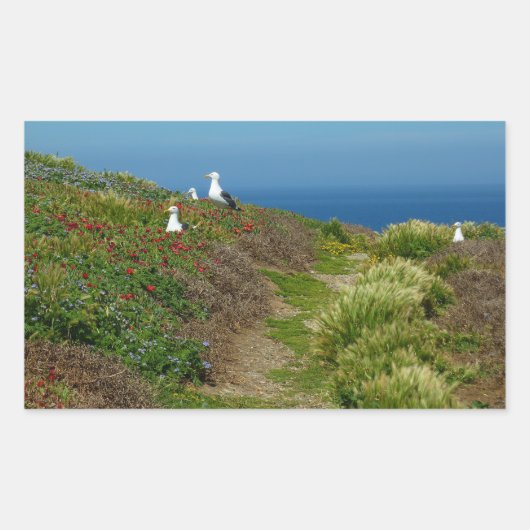 アナカパ島の花とカモメ 長方形シール (正面)
