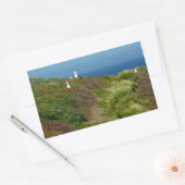 アナカパ島の花とカモメ 長方形シール (封筒)