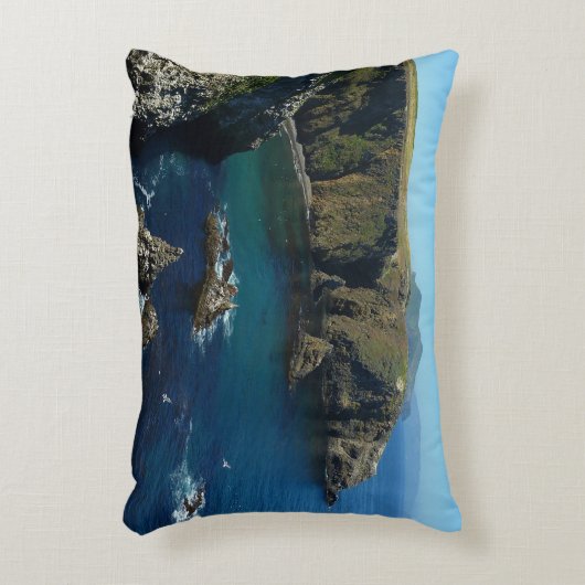 アナカパ島アットチャンネル諸島国立公園 アクセントクッション (正面(垂直))