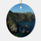 アナカパ島アットチャンネル諸島国立公園 セラミックオーナメント (左)