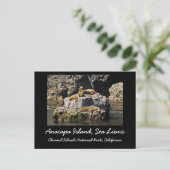 アナカパ島、シーライオンズ ポストカード (スタンド正面)