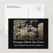 アナカパ島、シーライオンズ ポストカード (正面/裏面)