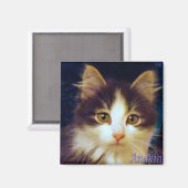 アナキン二脚猫かわいい子猫スクエアマグネット マグネット (正面/裏面)