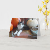 アナキン 二本足の猫 & パンプキンズ オータム キャット カード (黄色い花)