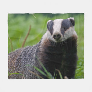 アナグマのフリースブランケット フリースブランケット