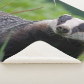 アナグマのSherpa毛布 シェルパブランケット (3/4)