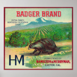 アナグマオレンジLabelExeter、カリフォルニア ポスター