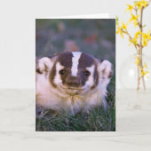 アナグマ カード (黄色い花)