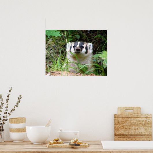 アナグマ ポスター (キッチン)