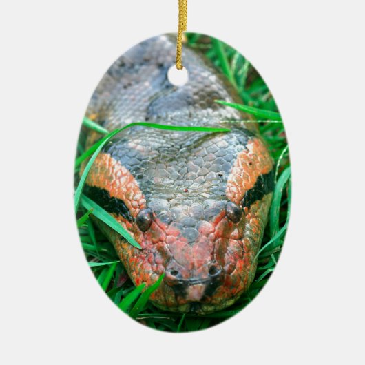 アナコンダヘビ セラミックオーナメント (正面)