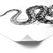 アナコンダ フォトプリント            (角)