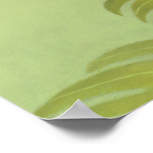 アナコンダ ポスター (角)