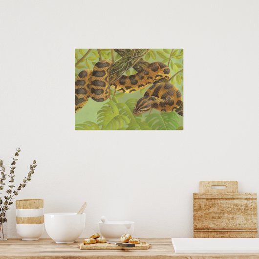 アナコンダ ポスター (キッチン)