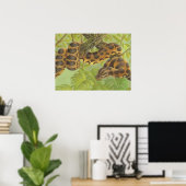 アナコンダ ポスター (ホームオフィス)