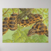 アナコンダ ポスター (正面)