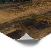 アナコートワシントンプリント ポスター (角)