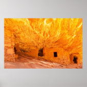 アナサジインディアン遺跡 ポスター (正面)