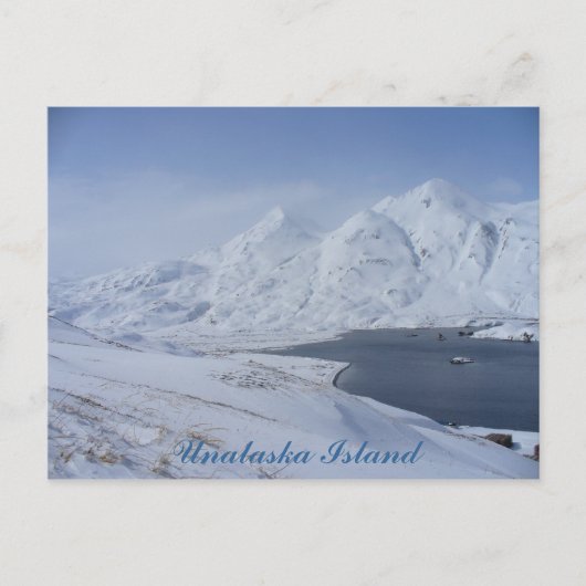 アナスカ島、キャプテンズベイの南端 ポストカード (正面)