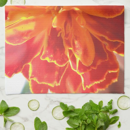 アナスタイズ キッチンタオル (折り畳み)