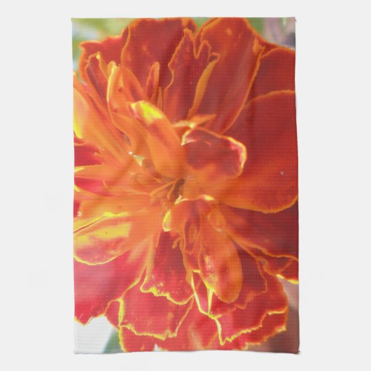 アナスタイズ キッチンタオル (縦)