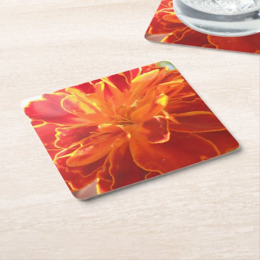 アナスタイズ スクエアペーパーコースター (アングル)