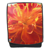 アナスタイズ バックパック (正面)