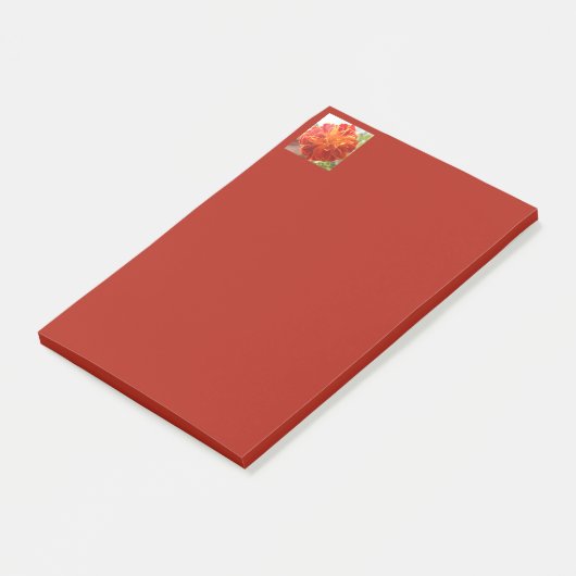 アナスタイズ ポストイット (アングル)