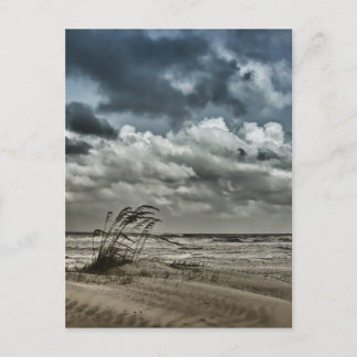 アナスタシア3 ポストカード