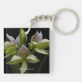 アナセイリアムシャコーエン キーホルダー (裏面)