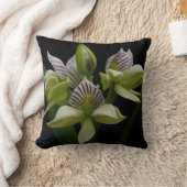 アナセイリアムシャコーエン クッション (ブランケット)