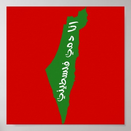 アナダムミファラスティーニ ポスター (正面)