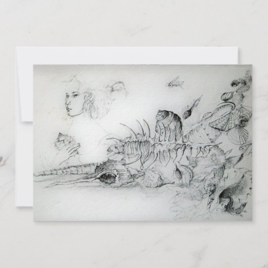 アナトリアの少女たち (裏面)