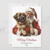 アナトリアンシェパードサンタクロース シーズンカード (正面)