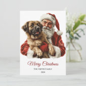 アナトリアンシェパードサンタクロース シーズンカード (スタンド正面)